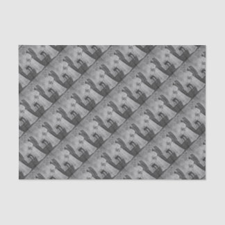 Papel De Seda Boda del gato