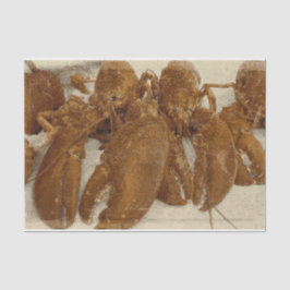 Papel De Seda Bola de textura náutica de los océanos vintage