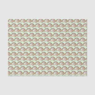 Papel De Seda Bombe al horno Alaska Crema de hielo Tartas de pos