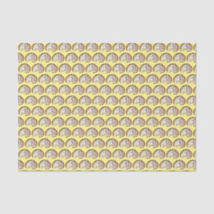 Papel De Seda Bombe al horno Alaska Crema de hielo Tartas de pos