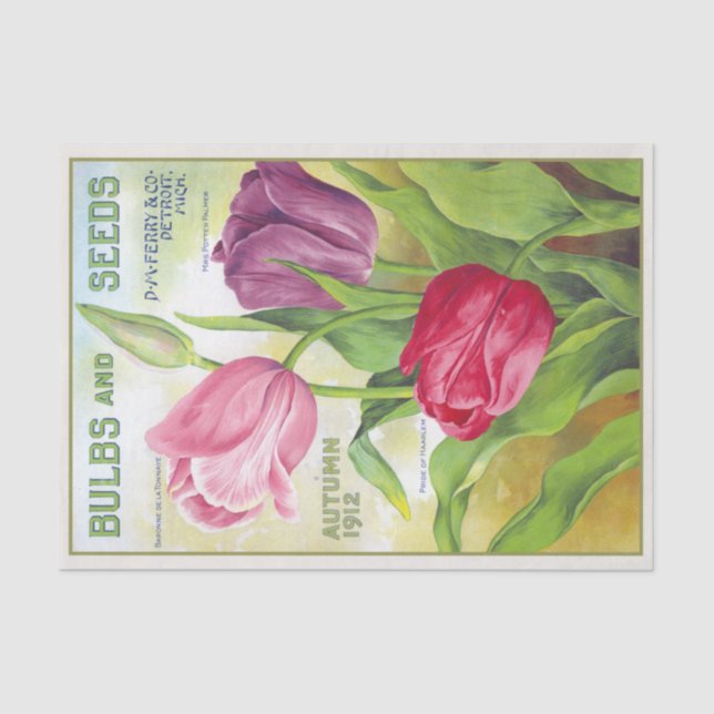 Papel De Seda Bombillas y semillas de época 1912 tulipanes (Anverso)