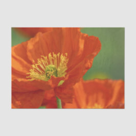 Papel De Seda Bonita amapola roja