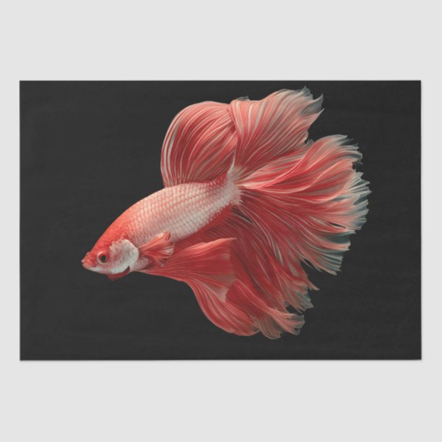 Papel De Seda Bonita Betta (Anverso)