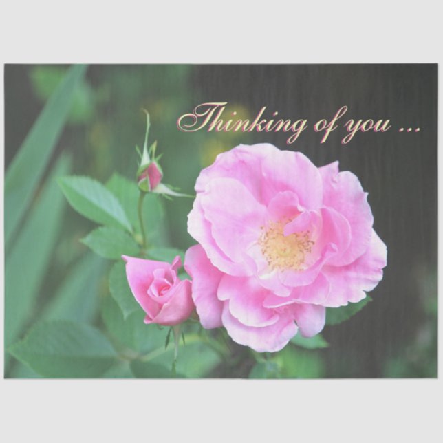 Papel De Seda Bonito De Tu Tejido (Anverso)