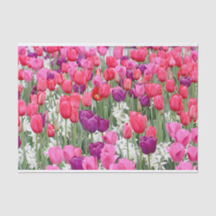 Papel De Seda Bonito en Petales rosados