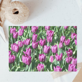 Papel De Seda Bonito Morado Tulips Floral
