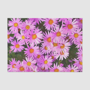 PAPEL DE SEDA BONITO PINK DAISIES