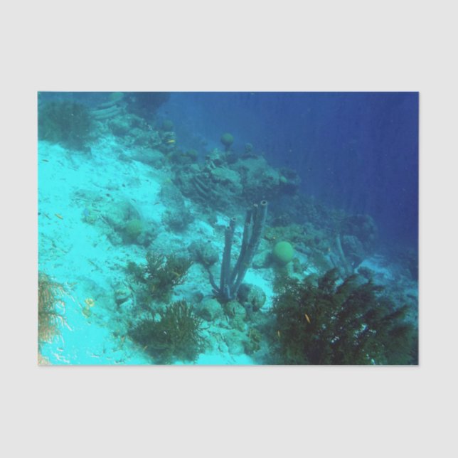 Papel De Seda Borde del filón (Anverso)