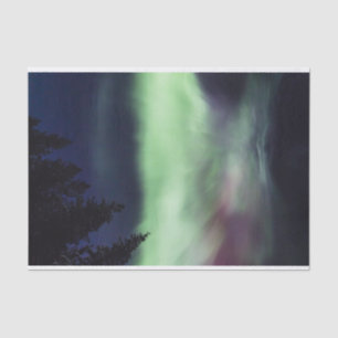 Papel De Seda Borealis de la aurora en Laponia finlandesa