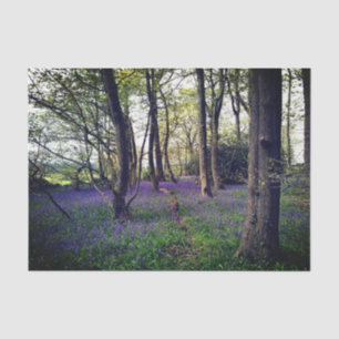 Papel De Seda Bosque Bluebells Floral elegante Belleza