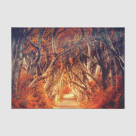 Papel De Seda Bosque de arce de otoño