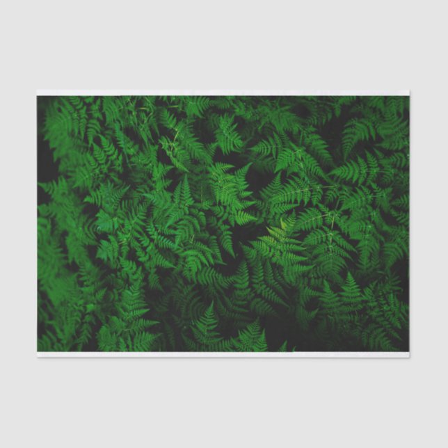 Papel De Seda Bosque de dinosaurios (Anverso)