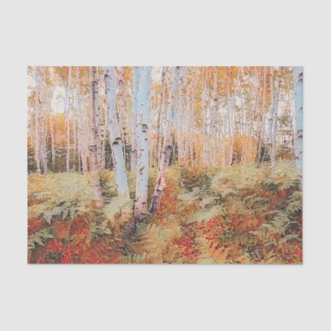 Papel De Seda Bosque de helechos de madera otoñal abedules (Anverso)
