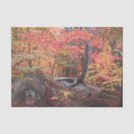 Papel De Seda Bosque de madera otoñal decoupage naranja rojo
