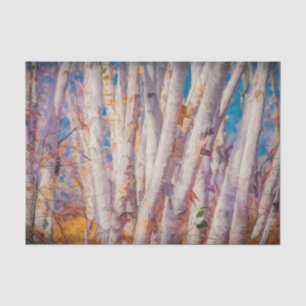 Papel De Seda Bosque de otoño árboles de abedul blanco