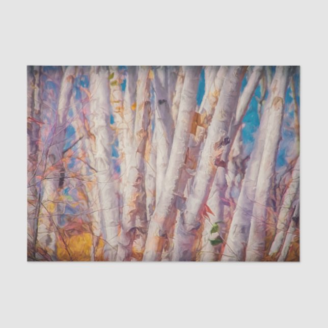 Papel De Seda Bosque de otoño árboles de abedul blanco (Anverso)