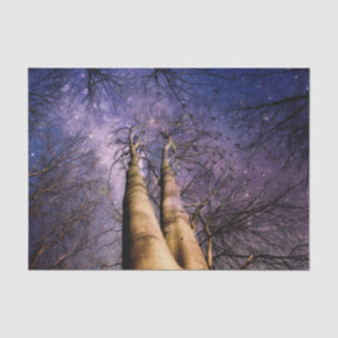 Papel De Seda Bosque encantado