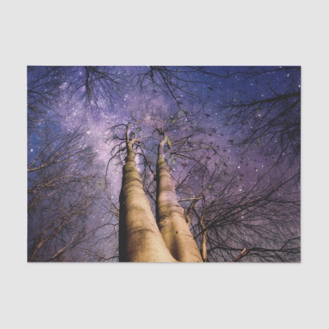 Papel De Seda Bosque encantado (Anverso)