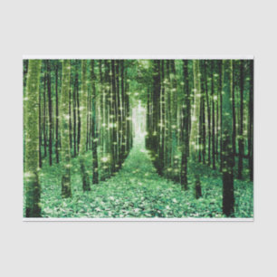 Papel de Seda Bosque Mágico Verde Misterio