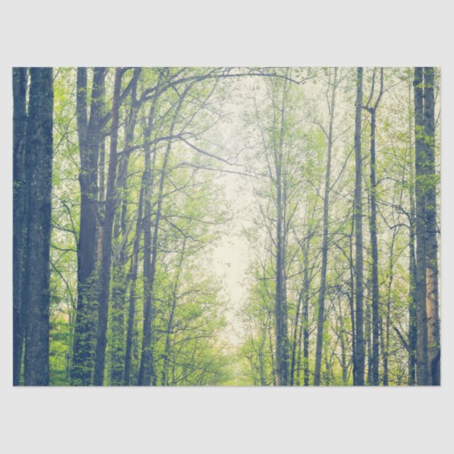 Papel De Seda Bosque místico (Anverso)