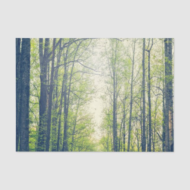 Papel De Seda Bosque místico (Anverso)