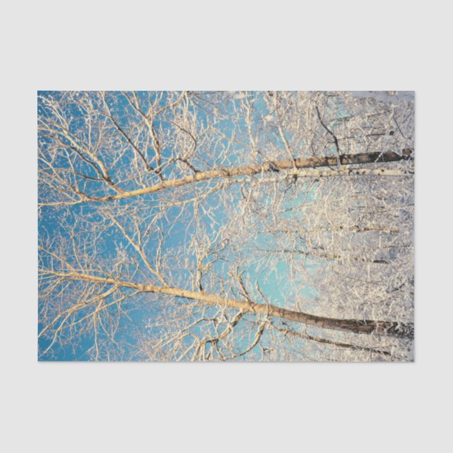 Papel De Seda Bosques Árboles Cielo Azul Invierno Bosque (Anverso)