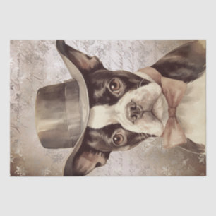 Papel De Seda Boston Terrier con la cosecha Gorra