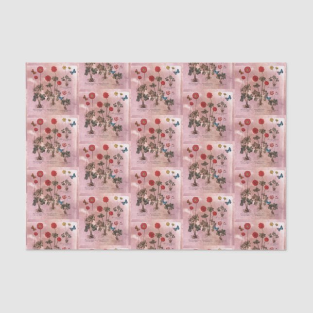 Papel De Seda Botánico de Floral Rosa (Anverso)