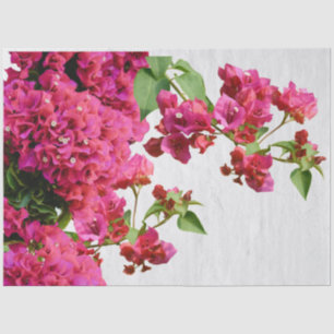 Papel De Seda Bougainvillea Floral Mediterráneo Isla Griega