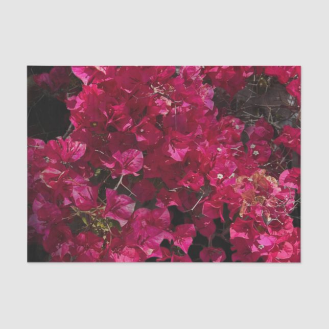 Papel De Seda Bougainvillea Red Tropical Vining Shrub Foto (Anverso)