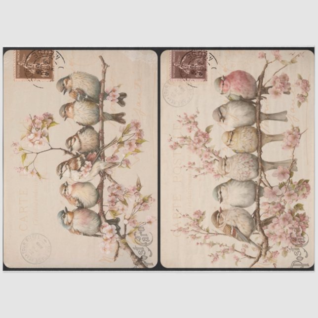 Papel De Seda Branchy Birds (Anverso)