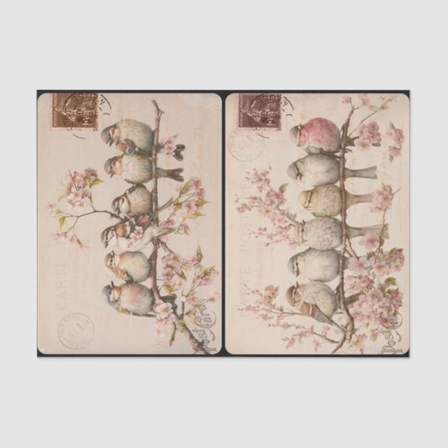 Papel De Seda Branchy Birds Tissue Paper (Anverso)