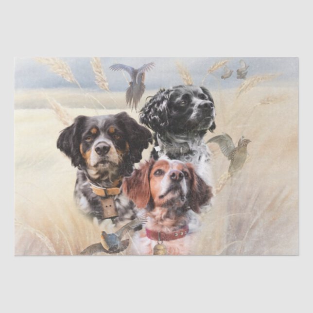Papel De Seda Brittany Spaniel (Anverso)