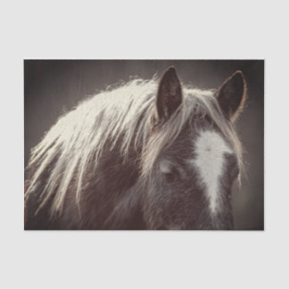 Papel De Seda Broadfoot Colt