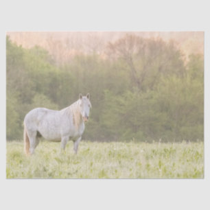 Papel De Seda Broadfoot Mare