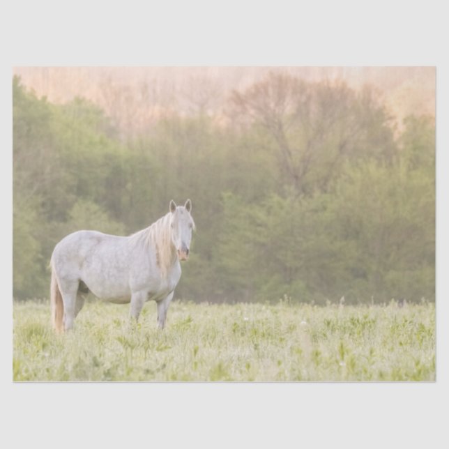 Papel De Seda Broadfoot Mare (Anverso)