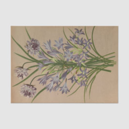 Papel De Seda Brodiea Congesta de Arentina Hendrica Arendsen