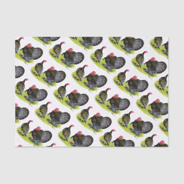 Papel De Seda Bronce con el pecho amplio de Turquía (Anverso)