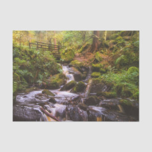Papel De Seda Brook de Woodland Waterfall