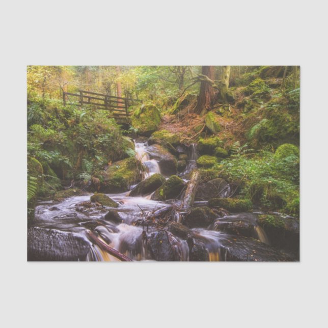 Papel De Seda Brook de Woodland Waterfall (Anverso)