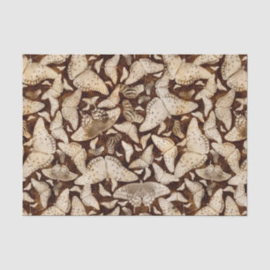 Papel De Seda Brown y mariposas beige