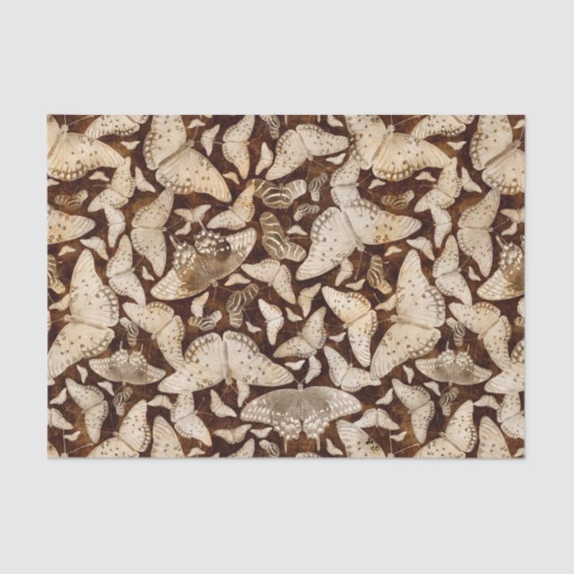 Papel De Seda Brown y mariposas beige (Anverso)