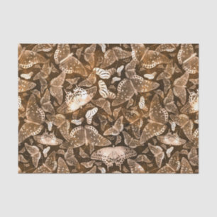 Papel De Seda Brown y modelo de mariposas beige