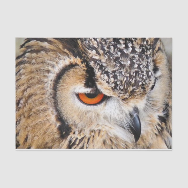 PAPEL DE SEDA BÚHO (Anverso)