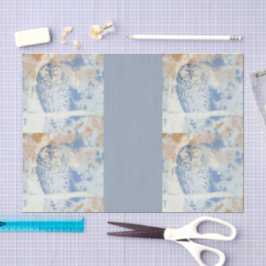 Papel De Seda Búho barrado edición