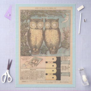 Papel De Seda Búho parpadeante vintage, divertido arte para otoñ