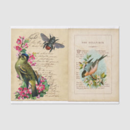 Papel De Seda Bull Finch Ephemera Book Pages with Bee & Birds
