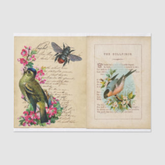 Papel De Seda Bull Finch Ephemera Book Pages with Bee & Birds