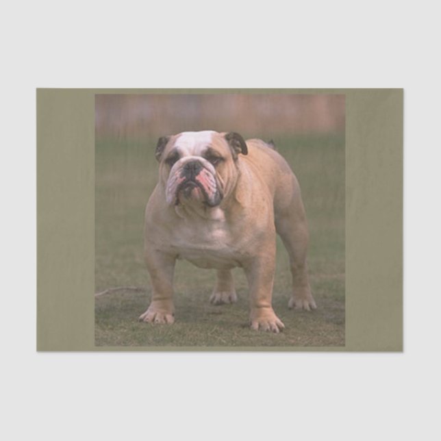 Papel De Seda bulldog por completo 2 (Anverso)