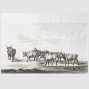 Papel De Seda Bulls Ephemera Decoupage Vintage Farm Cow